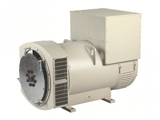 Alternador sem escova Synchronous da CA da série 314 